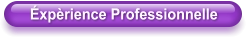 Éxpèrience Professionnelle