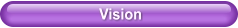 Vision