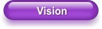 Vision
