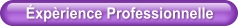 Éxpèrience Professionnelle